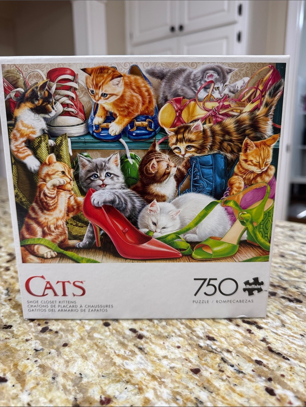 750 Piece Shoe Closet Kittens